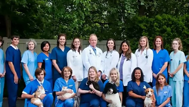 Veterinarian Clarkson Mississauga Southdown Animal Clinic