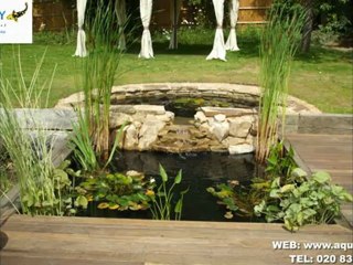 Aquajoy - Modern Ponds