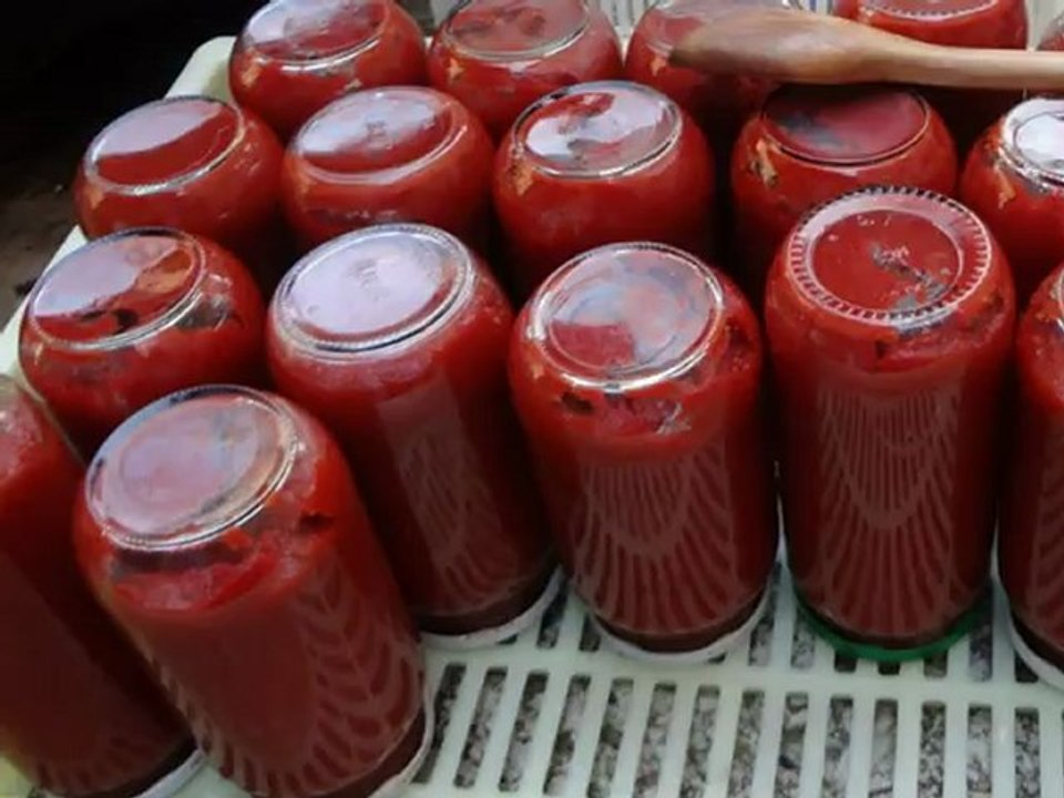 SALÇA
