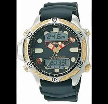 Citizen Watches For Ladies