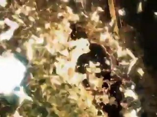 Street Fighter x Tekken - Cinematic Trailer