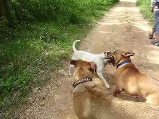 Sources de l'Huveaune 15-05-2012 n° 4