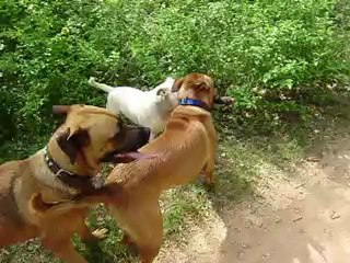 Sources de l'Huveaune 15-05-2012 n° 5