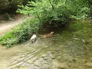 Sources de l'Huveaune 15-05-2012 n° 7