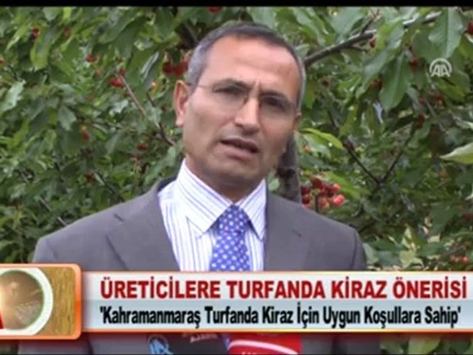 ÜRETİCİLERE TURFANDA KİRAZ ÖNERİSİ 15.05.2012