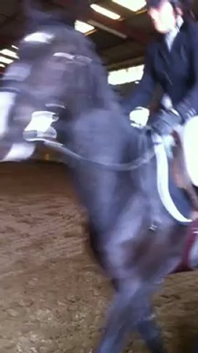 illusion dressage champs gallet