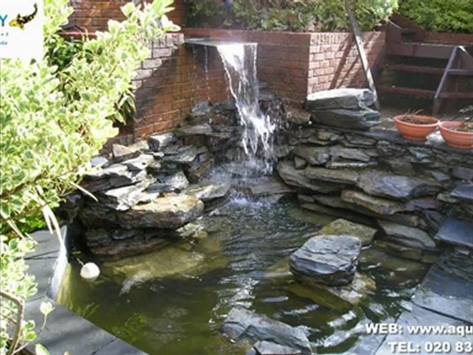 Aquajoy - Feature Ponds
