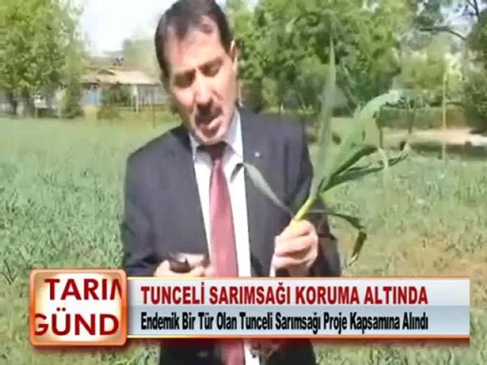 TUNCELİ SARIMSAĞI KORUMA ALTINDA 16.05.2012