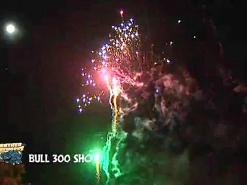 Bull 300 Shot