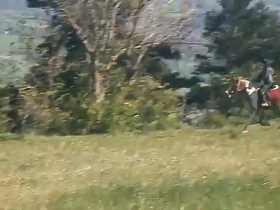 galop dans le champs