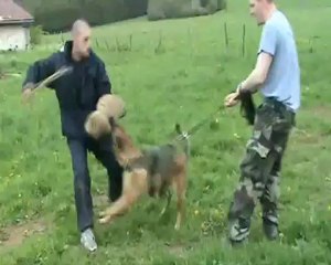 entrainement 17 mai 2012