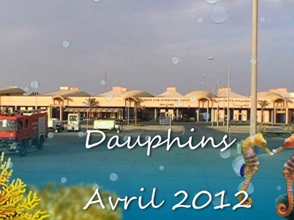 Dauphins 2012 - Part 1
