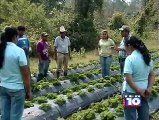 Documental sobre Agricultura Orgánica - ASOPROL