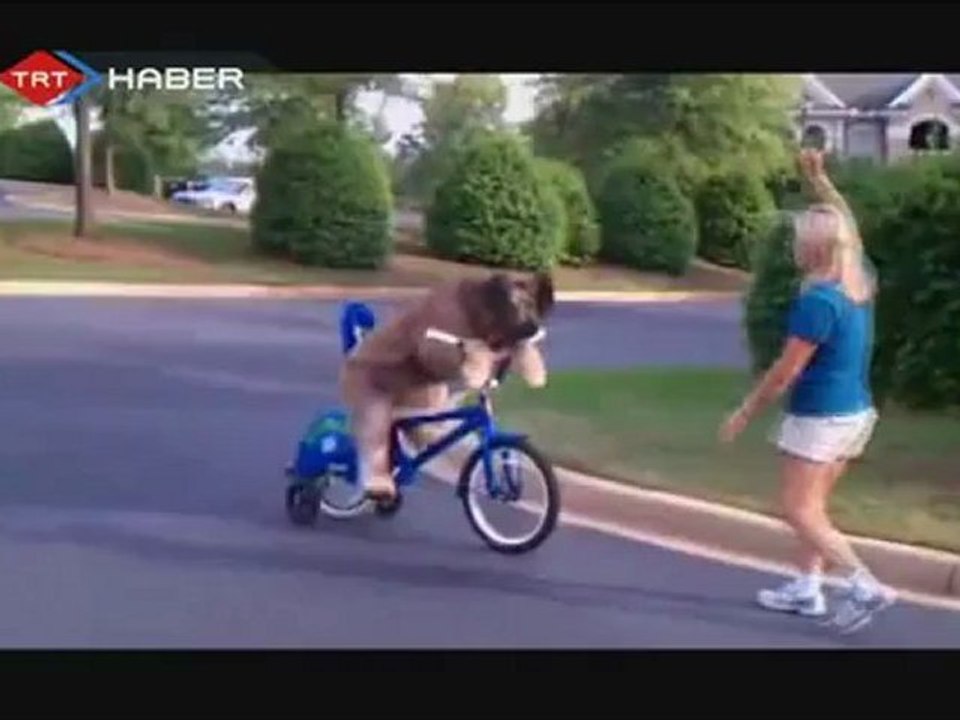 BSKLT SRKPK WWWOLAYWEBCOM