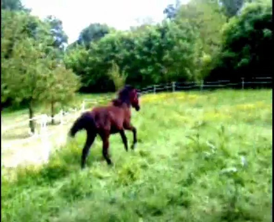 Beauty le début de l'aventure ♥.