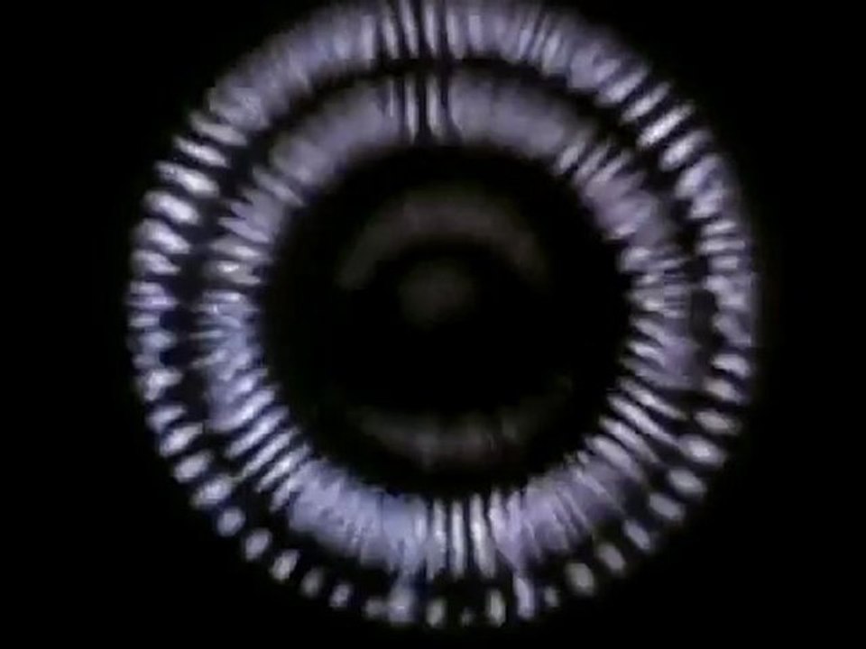 Chimaira - The Year of The Snake (Official Video)