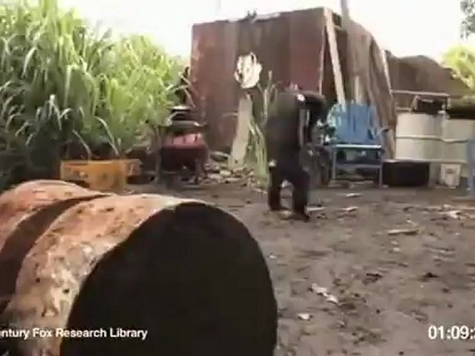 Le singe imite l'homme