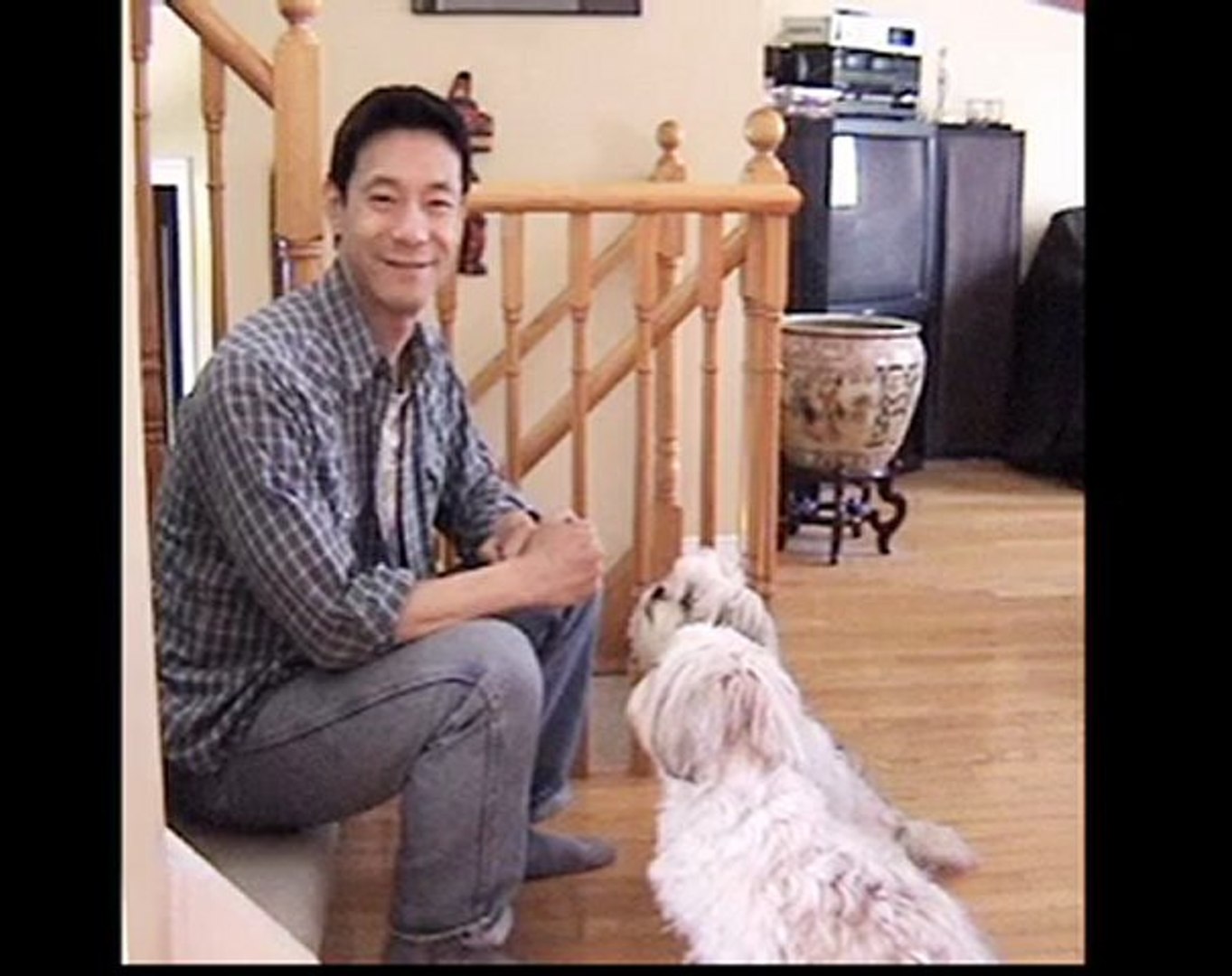⁣Source Of Healthy Cheap Dog Treats
