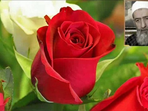 tekseslimekan.com Tanıdım Vidoları baslamişdır herkes davatli Sinop merkez herkez burda.!! istanbul merkez herkes burda.!!Kivircik Ali Bir Selam Sal Sabah Olsun - YouTubeYar ile Şimdi - -Nefsin Tuzaklarına Dair- 96 - YouTube