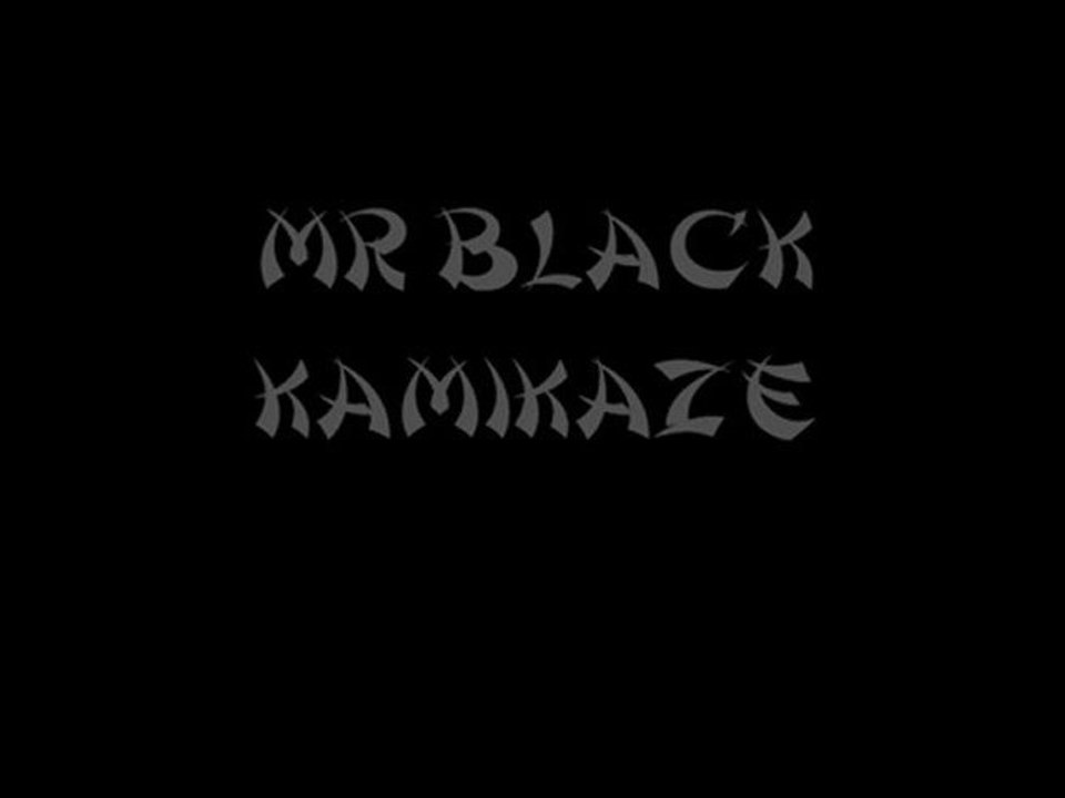 Mr Black - Kamikaze