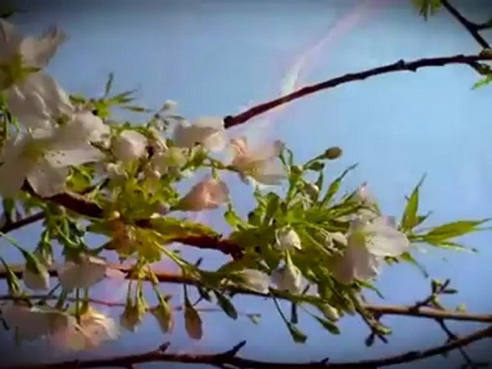 2012 Kutlu Doğum Sinevizyon Filmi (Kardeşlik Ahlakı)hayalbahcesifm.com