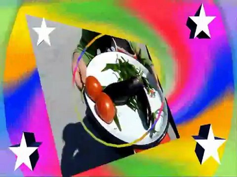 BARIŞ MANÇO & GÜDÜL İLKÖĞRETİM 5/A - Domates Biber Patlıcan