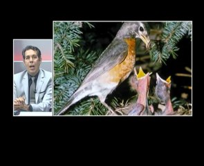 Yanarken evladını koruyan anne