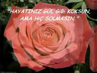 www.tekseslimekan.com Herkes burda ya sizler bizler sanalda guzel seyler yapıyorz