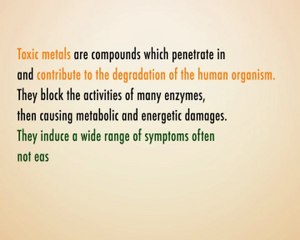 Natural Checkup Advanced Hair Mineral Analysis