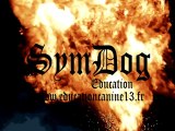 SYM DOG EDUCATION CANINE MARSEILLE