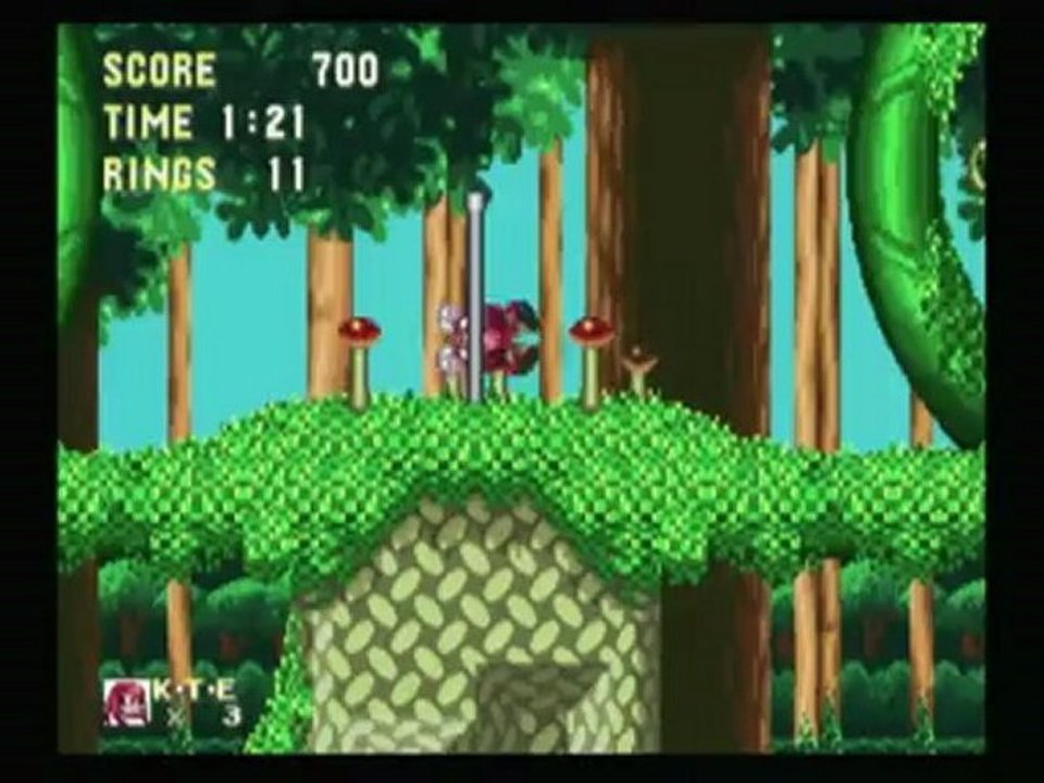 CGRundertow SONIC MEGA COLLECTION for Nintendo GameCube Video Game Review