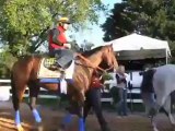 Preakness Preview With Gary Stevens