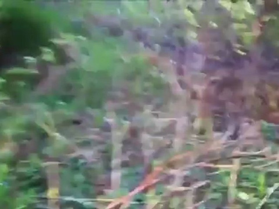 ufo?Restes d un  UFO.ou restes SPATIAL ? Kensington .Canada. 17.05.2012