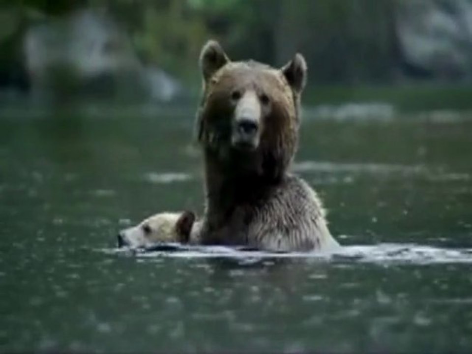 David hasert - bummeln