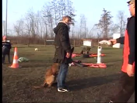 Premiers entrainements de mon malou