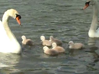 Randonnée de mai 2012