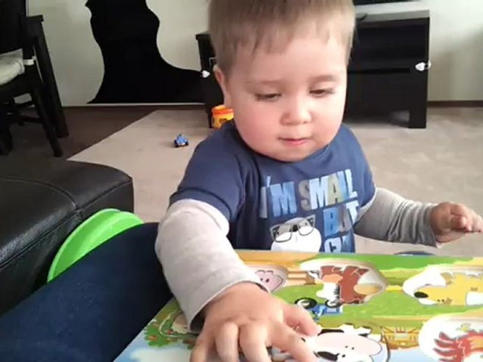 16 Mayıs 2012 - 17 aylık