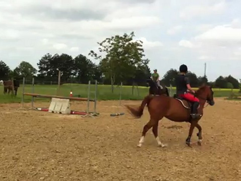 Einstein 19 mai 2012