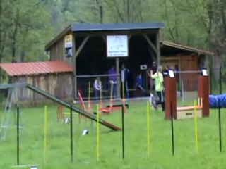 Apprentissage de Feeby à l'agility 8 mai 2012