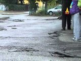 Ferrara - Terremoto - Lesioni suolo ferrarese (20.05.12)