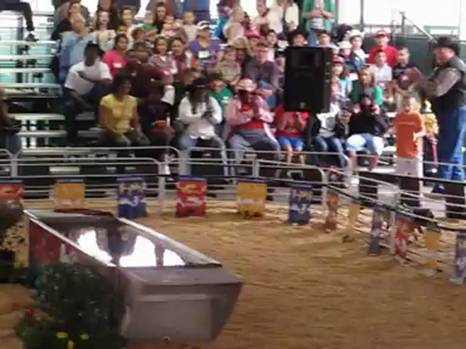 Pig race