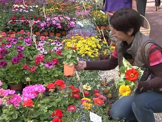GGTV - Guilherand-Granges.tv - Le marché aux plantes