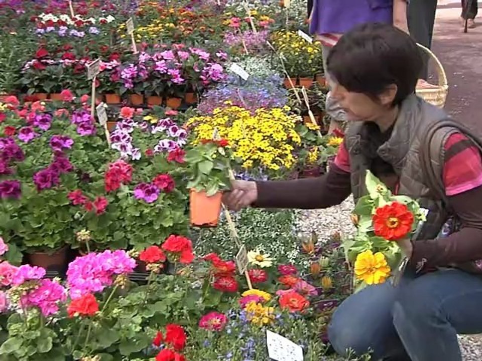 GGTV - Guilherand-Granges.tv - Le marché aux plantes