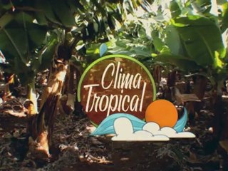 Sabor Made in Exotic European Island - Anuncio Plátano de Canarias 2012