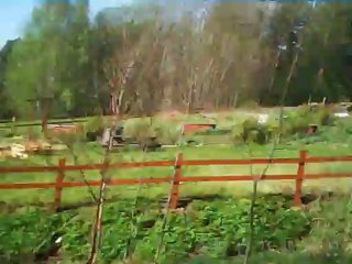 hemmagjort video av kalebarnewsazer guney Azerbaijan