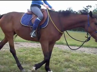 Rond de longe Samedi 19 mai 2012