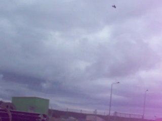 gök fındık yavru yeni başlıyor 5