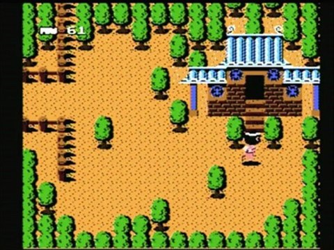 CGRundertow DRAGON POWER for NES Video Game Review