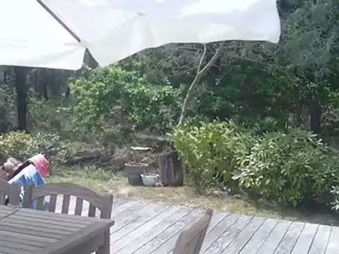 Villa 8 personnes avec piscine chauffée. Venez jouer au Golf à Moliets dans les Landes.