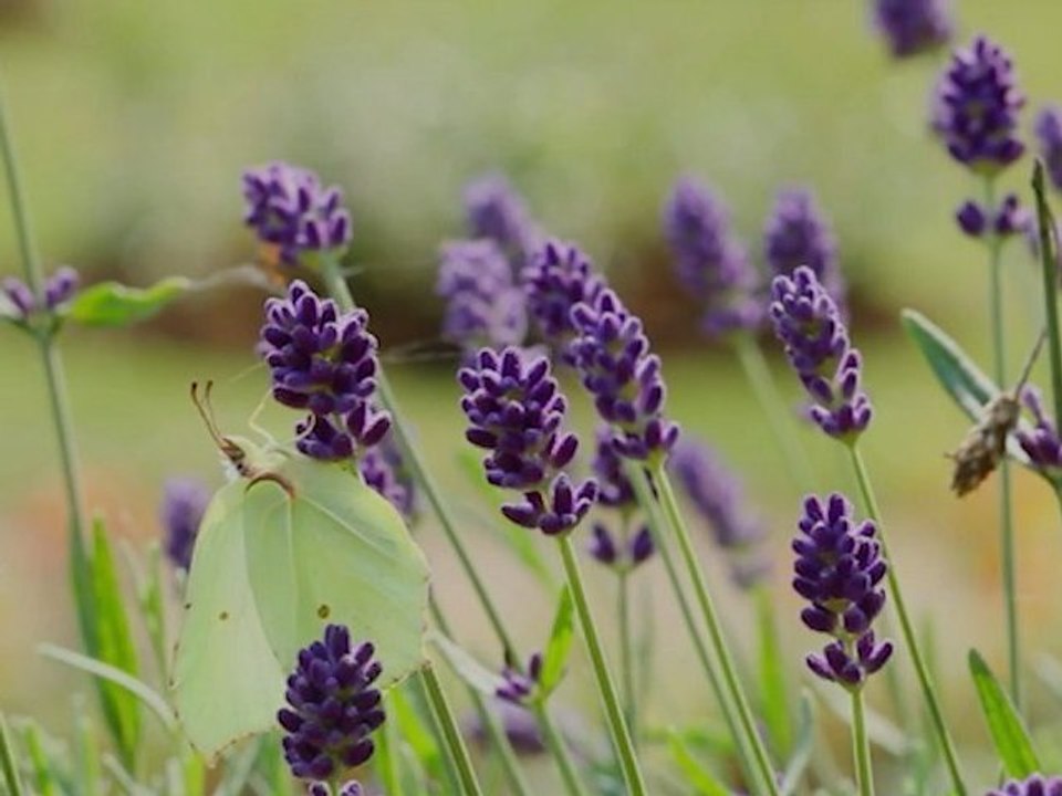 Clip officiel de lancement de campagne - Julien Aubert